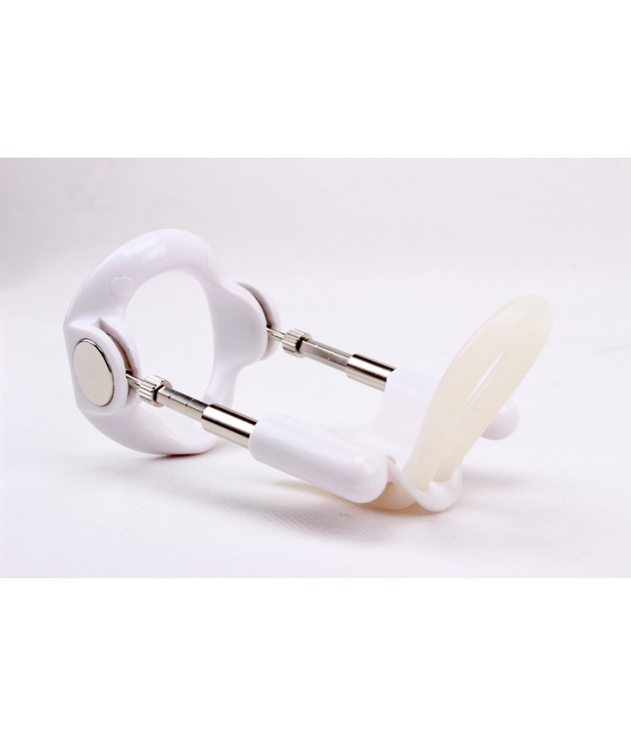 SVILUPPATORE ALLUNGA PENE \"PRO EXTENDER SYSTEM\"