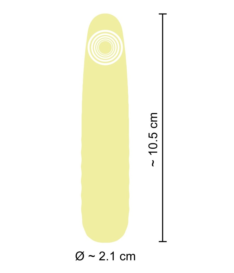 MINI VIBRATORE CUTIES -IL CANARINO
