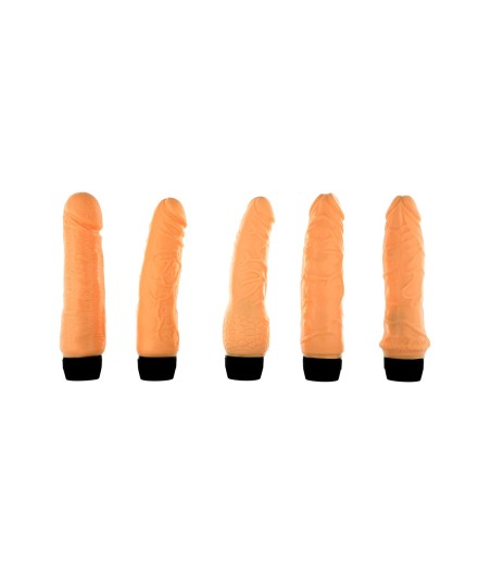 SET 5 VIBRATORI REALISTICI I MAGNIFICI 5