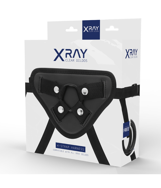 X RAY - HARNESS WITH SILICONE RINGS