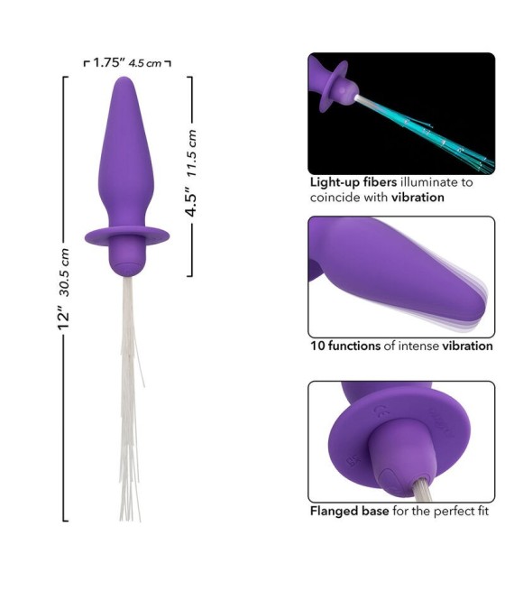 CALEXOTICS - SOUTHERN LIGHTS LIGHT UP ANAL PLUG 10 VIBRATIONS SILICONE PURPLE